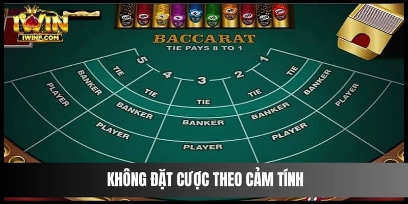 Không đặt cược theo cảm tính