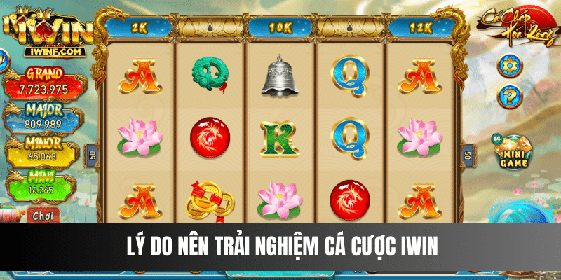 Lý do nên trải nghiệm cá cược tại cổng game I WIN