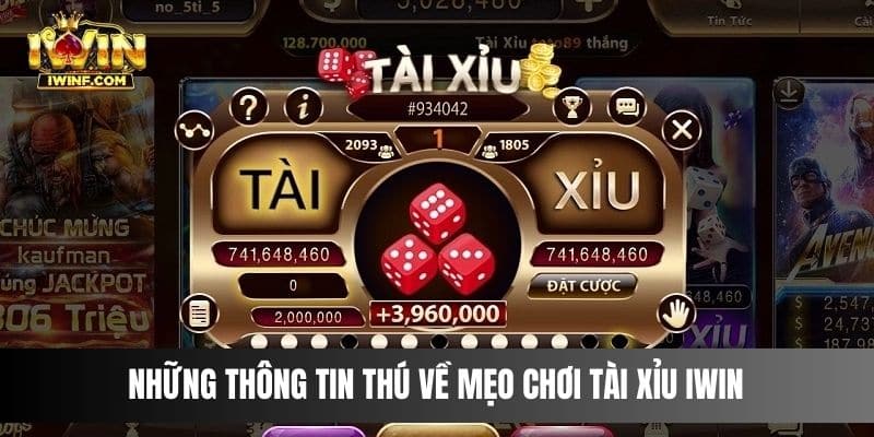 Những thông tin thú về mẹo chơi Tài Xỉu IWIN 