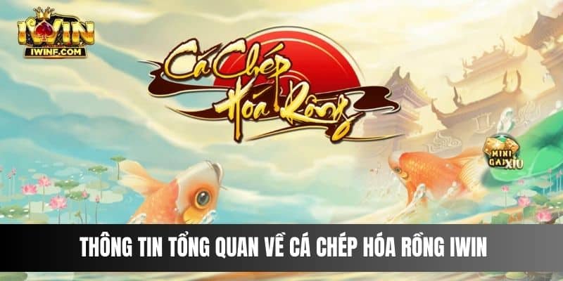 Thông tin tổng quan về Cá Chép Hóa Rồng IWIN