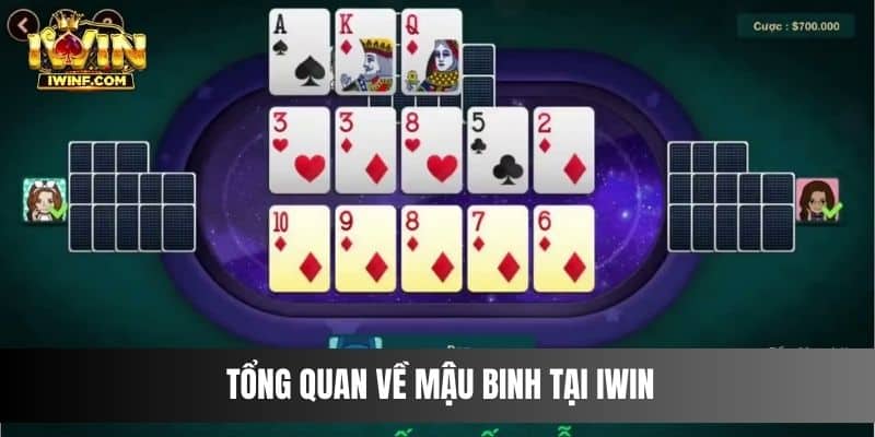 Tổng quan về Mậu Binh IWIN bạn cần nắm